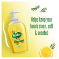 Radox Hand wash Feel Invigorated